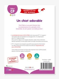 Apprendre à Lire Avec Les Alphas - Un Chien Adorable RÉCRÉALIRE Violet - Recrealire -Magasin De Jouets apprendre a lire avec les alphas un chien adorable recrealire 2
