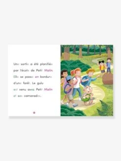 Apprendre à Lire Avec Les Alphas - Un Pique-nique Animé ! RÉCRÉALIRE Violet - Recrealire -Magasin De Jouets apprendre a lire avec les alphas un pique nique anime recrealire 2