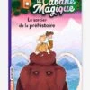 La Cabane Magique - T.6 - Le Sorcier De La Préhistoire - BAYARD JEUNESSE Blanc - Hachette