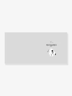 Livre De Naissance - Mon Livre De Bébé Mimi’lou HACHETTE PRATIQUE Blanc - Hachette -Magasin De Jouets livre de naissance mon livre de bebe mimilou hachette pratique 2