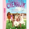 Mes Amis Les Chevaux - T.1 - Un Nouveau Pensionnaire - HACHETTE Blanc - Hachette