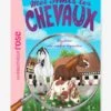 Mes Amis Les Chevaux - T.12 - Mystère Au Centre équestre - HACHETTE Blanc - Hachette