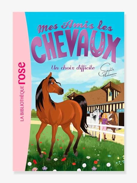 Mes Amis Les Chevaux - T.3 - Un Choix Difficile - HACHETTE Blanc - Hachette 1 Mes Amis Les Chevaux - T.3 - Un Choix Difficile - HACHETTE Blanc - Hachette