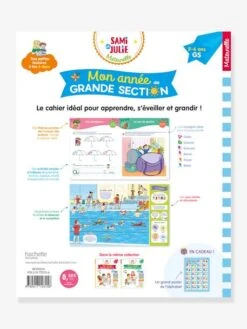 Magasin De Jouets -Magasin De Jouets mon annee de grande section avec sami et julie 5 6 ans hachette education 1